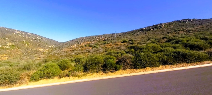 0 Bedroom Property for Sale in Steenbergs Cove Western Cape